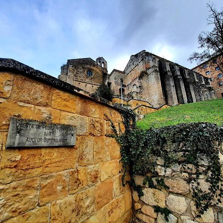 Apartamento Medieval En El Camino De Santiago เอสเตลลา ภายนอก รูปภาพ